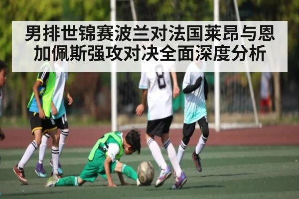 男排世锦赛波兰对法国莱昂与恩加佩斯强攻对决全面深度分析